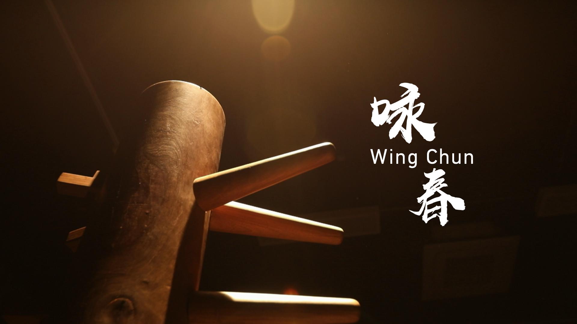 Donnie Yen on Wing Chun