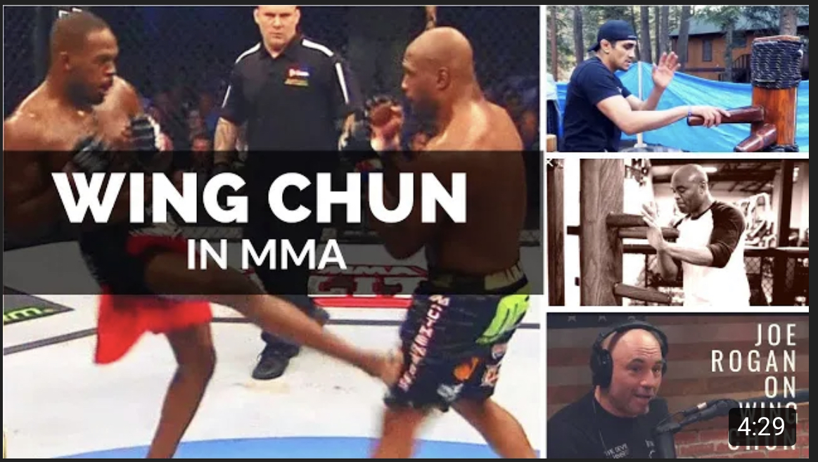 Wing Chun used in the UFC