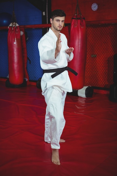 Karate vs Wing Chun
